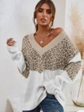 Cupshe Leopard Print Colorblock V Neck Sweater